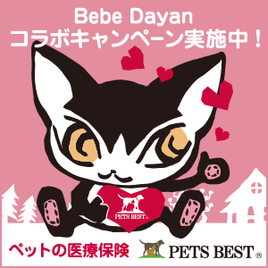 獣医師が考えてつくった大切なペットのための医療保険 PETS BETS × BebeDayanコラボキャンペーン